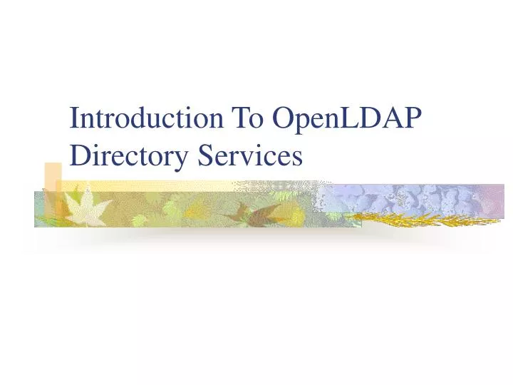 introduction to openldap directory services