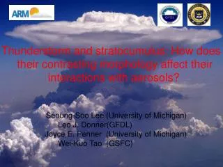Thunderstorm and stratocumulus: How does