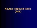 Akutna odpoved ledvic (AOL) - slide 1