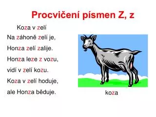 procvi en p smen z z
