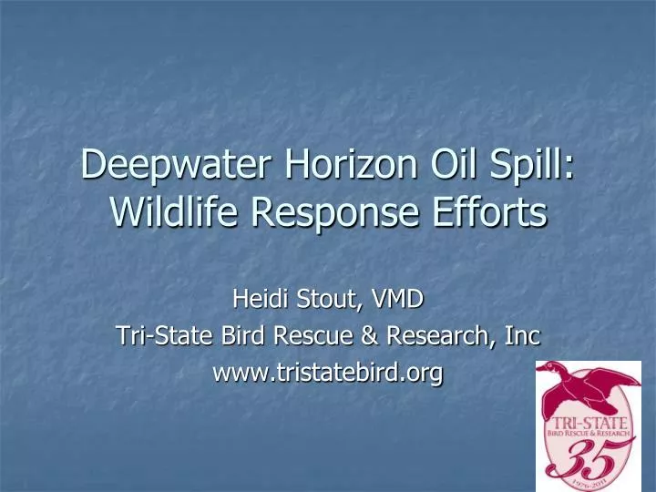deepwater horizon oil spill wildlife response efforts