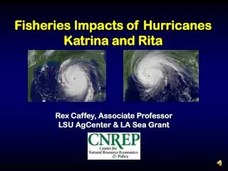 Fisheries Impacts of Hurricanes Katrina and Rita