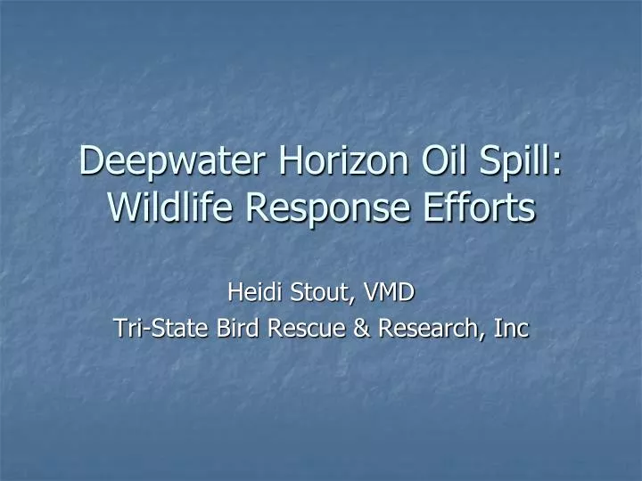 deepwater horizon oil spill wildlife response efforts