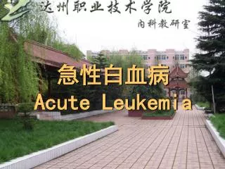 acute leukemia