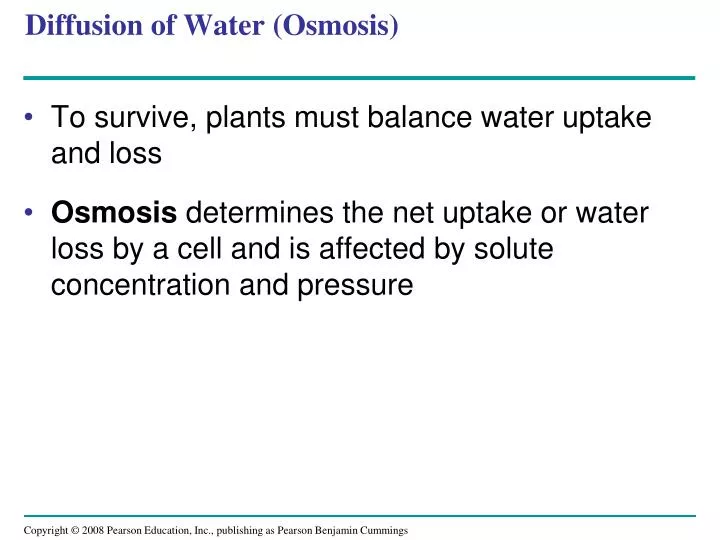 diffusion of water osmosis