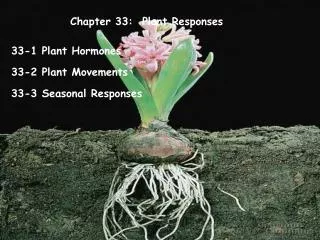 Chapter 33: Plant Responses