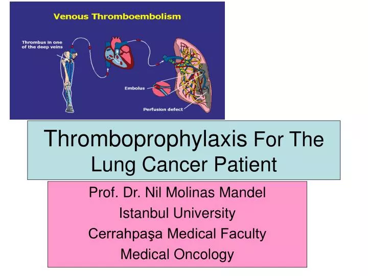 thromboprophylaxis for the lung cancer patient