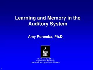 Learning and Memory in the Auditory System