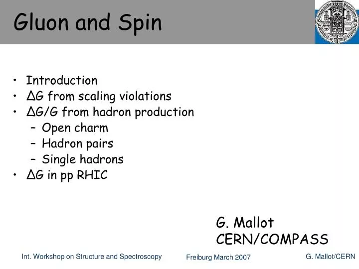 gluon and spin