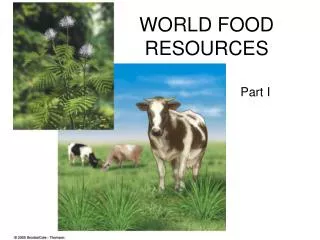 WORLD FOOD RESOURCES
