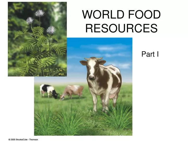 world food resources
