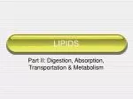 LIPIDS - slide 1