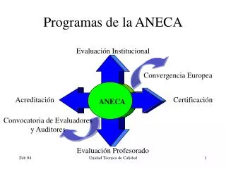 programas de la aneca