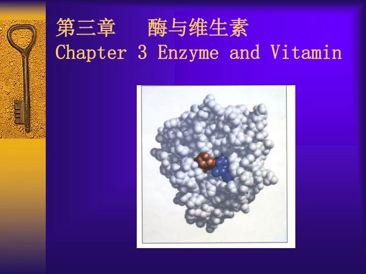 chapter 3 enzyme and vitamin