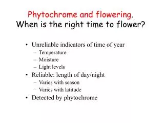 Phytochrome and flowering . When is the right time to flower?