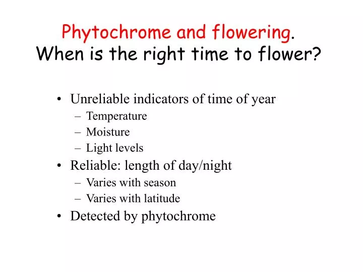 phytochrome and flowering when is the right time to flower