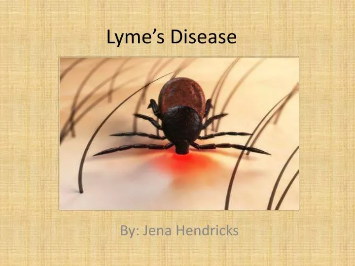 lyme s disease