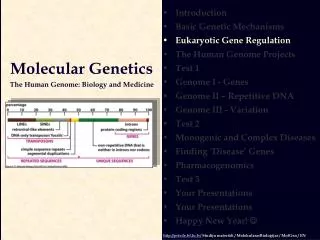 Introduction Basic Genetic Mechanisms Eukaryotic Gene Regulation The Human Genome Projects Test 1