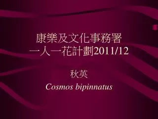 2011 12