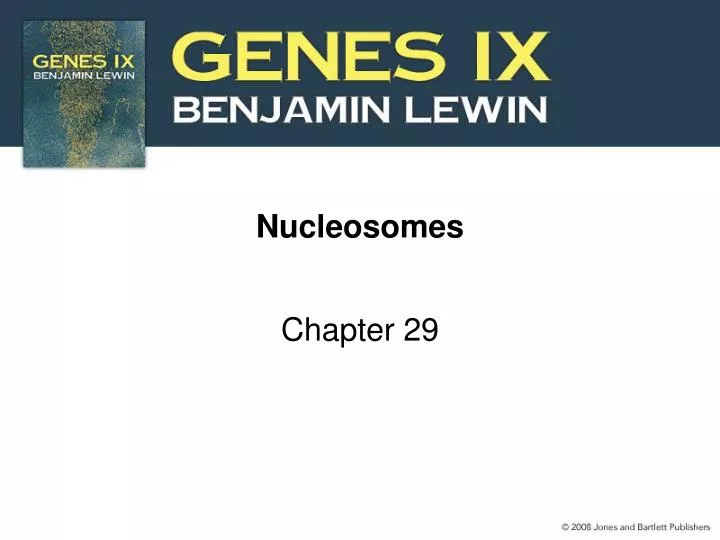 nucleosomes