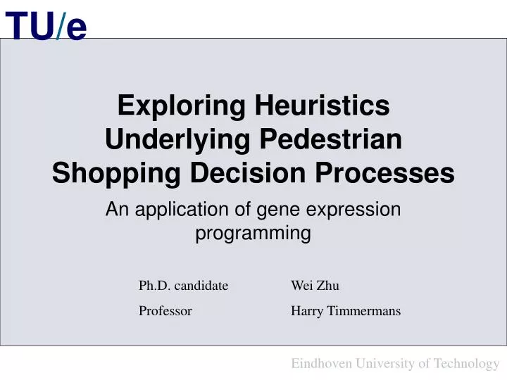 exploring heuristics underlying pedestrian shopping decision processes