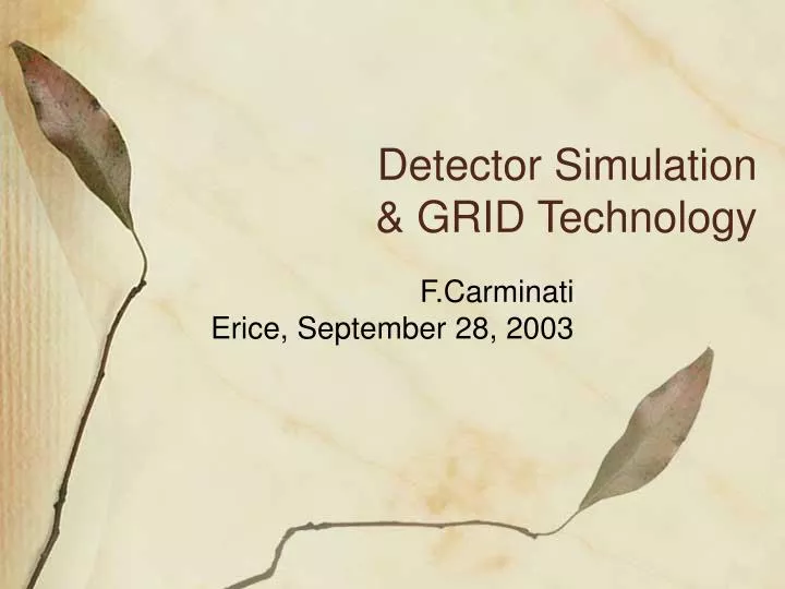 detector simulation grid technology