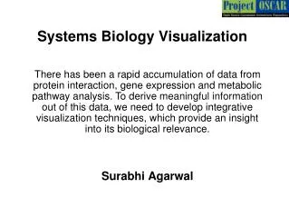 Systems Biology Visualization