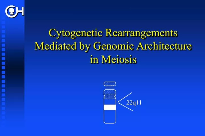 cytogenetic rearrangements mediated by genomic architecture in meiosis