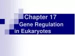 Chapter 17 - slide 1