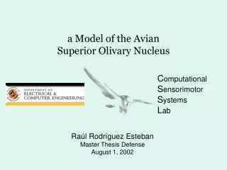 a Model of the Avian Superior Olivary Nucleus