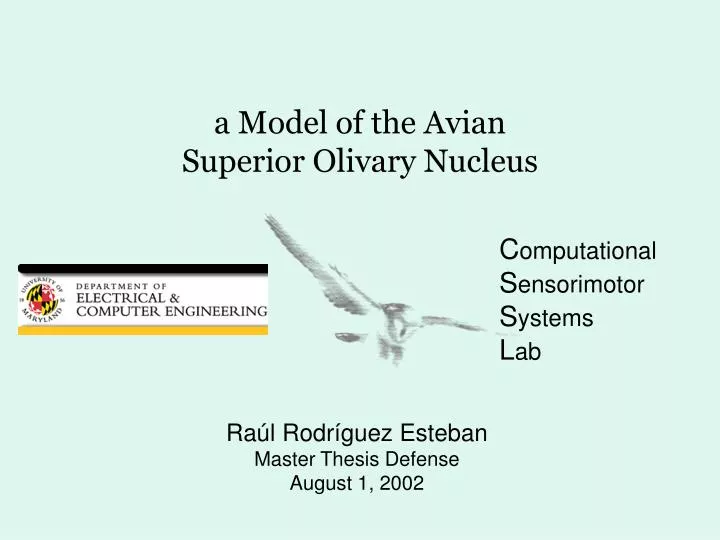 a model of the avian superior olivary nucleus
