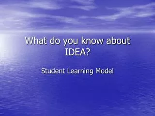 What do you know about IDEA?