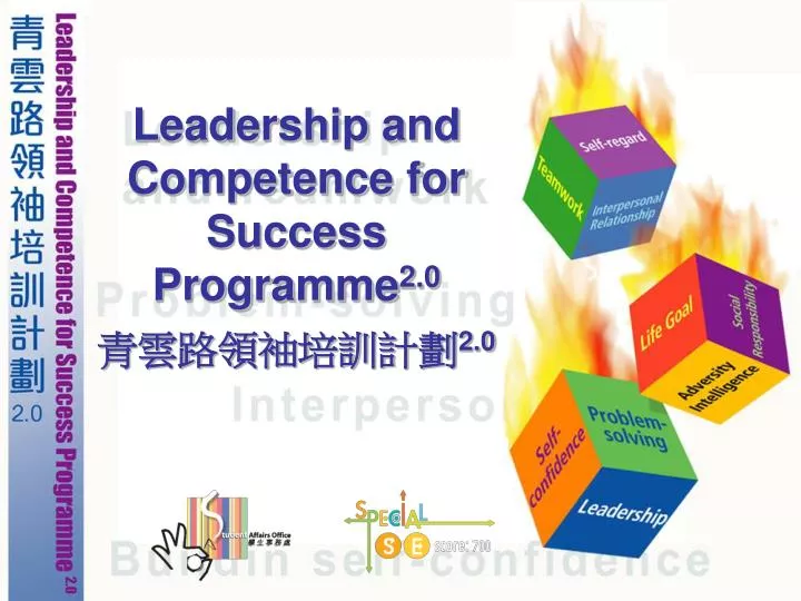 leadership and competence for success programme 2 0 2 0