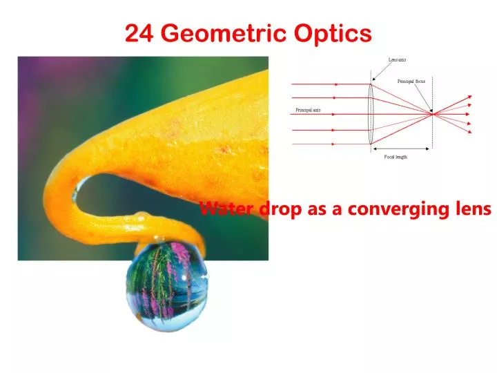 24 geometric optics