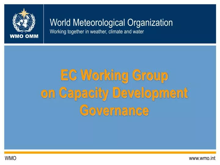 ec working group on capacity development governance