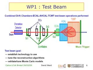 WP1 : Test Beam