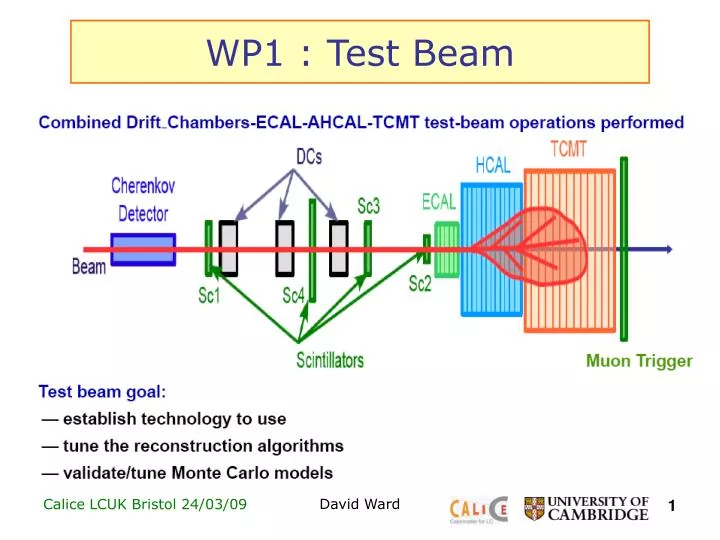 wp1 test beam