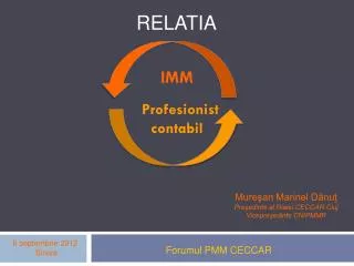 imm profesionist contabil