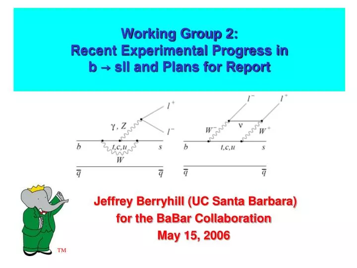 working group 2 recent experimental progress in b sll and plans for report