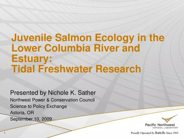 juvenile salmon ecology in the lower columbia river and estuary tidal freshwater research
