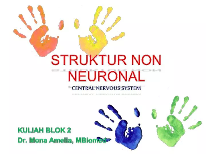 struktur non neuronal central nervous system