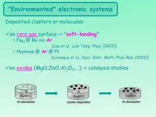 &quot;Environmented&quot; electronic systems