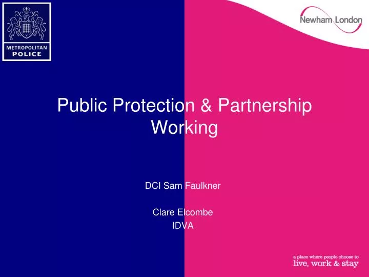 public protection partnership working
