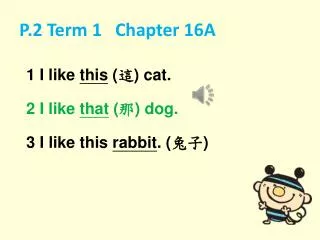 p 2 term 1 chapter 16a