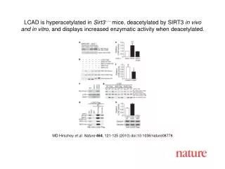 MD Hirschey et al. Nature 464 , 121-125 (2010) doi:10.1038/nature08778