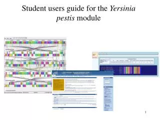 Student users guide for the Yersinia pestis module