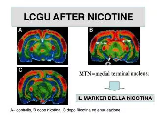 lcgu after nicotine