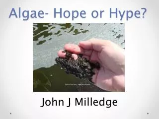 Algae- Hope or Hype?