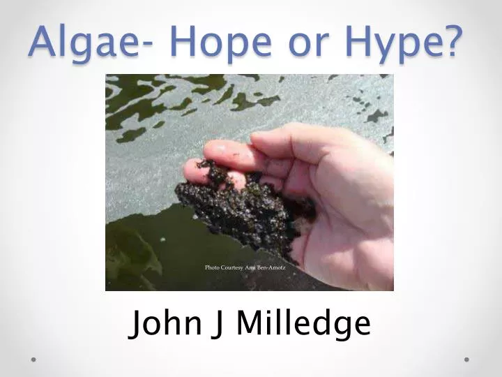 algae hope or hype