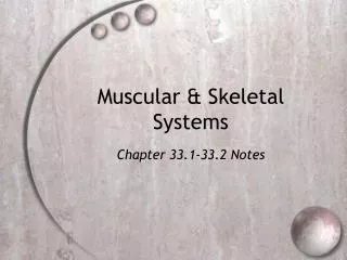 Muscular &amp; Skeletal Systems